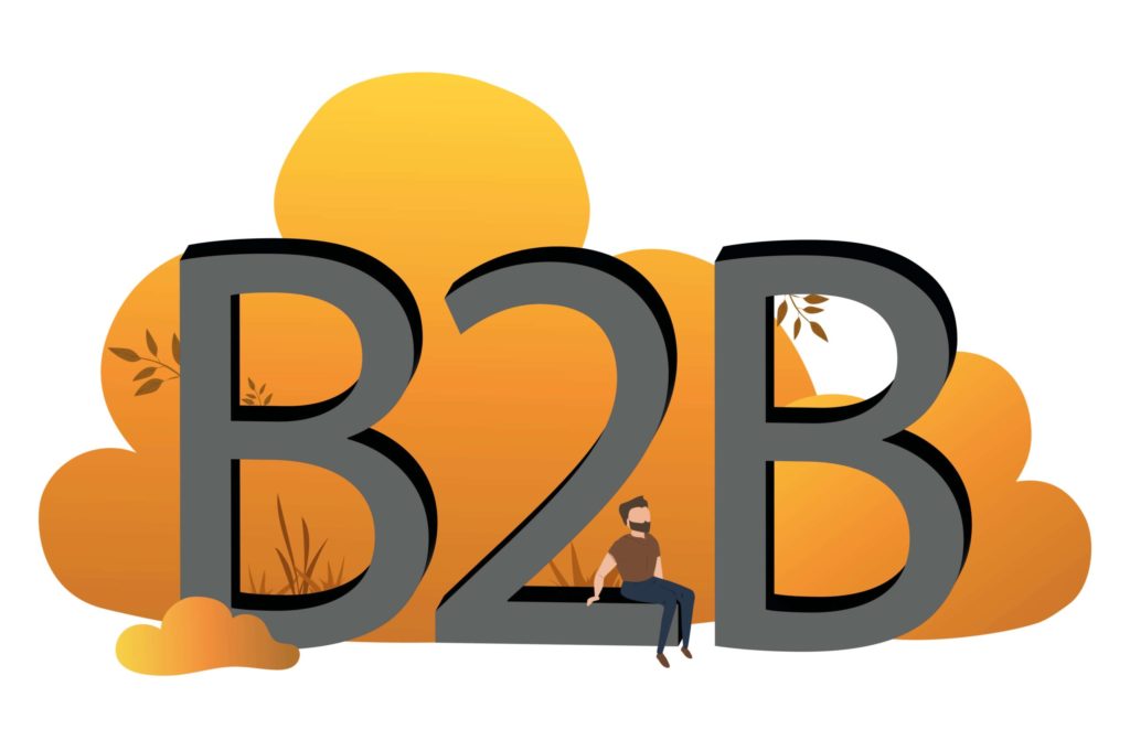 Hvad er B2B?